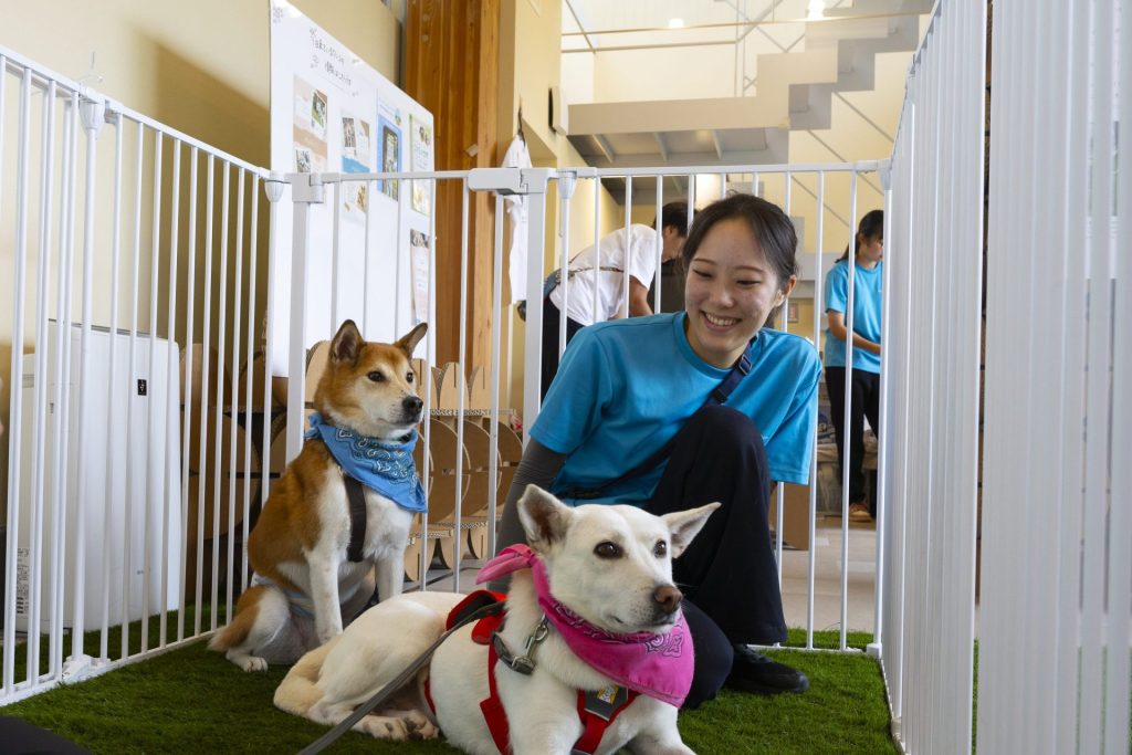 【イベントレポート】動物愛護週間にあたる9月20日(土)から9月26日(金)に「Wan Dream Garden〜保護犬猫と人の幸せな暮らし方〜」を開催しました! 2 1C7A0501