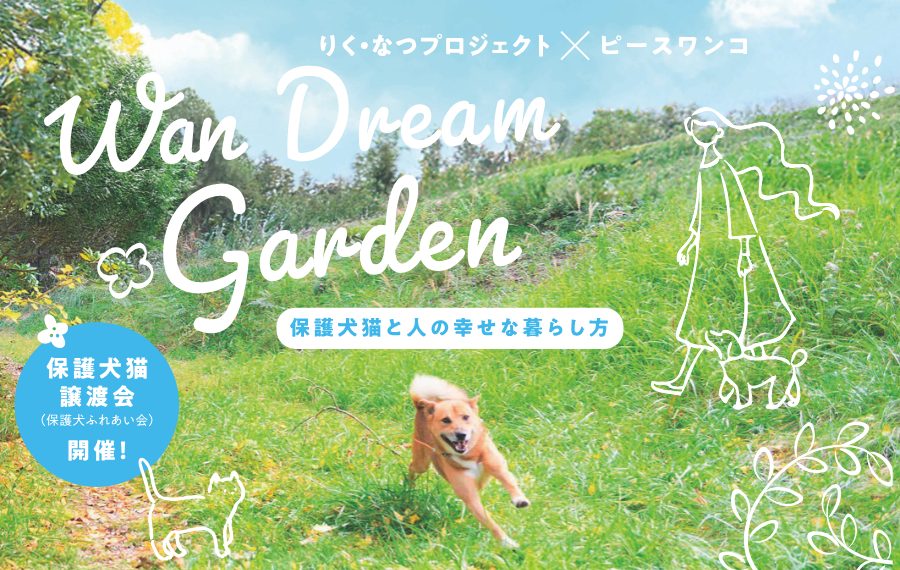 7f647f59b9e4433a9af912f93597c315