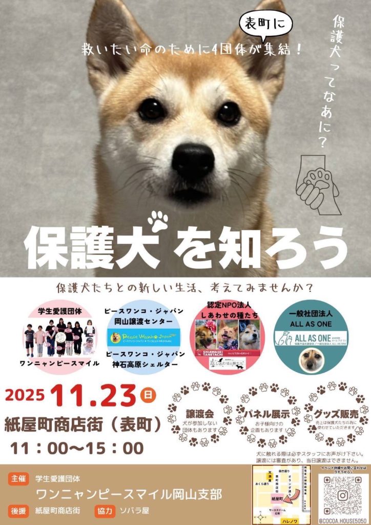 譲渡会・イベントのご案内 7 line oa chat 251114 172723