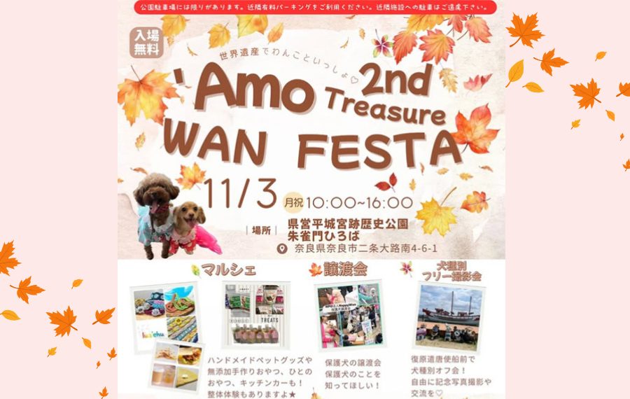 【ピースワンコの譲渡会】11/3(月祝)「Amo WAN FESTA Treasure 2nd in奈良県立平城宮跡歴史公園」参加(奈良/奈良市) 12 7be3a9e9572c9051bae4cb023dd1502a