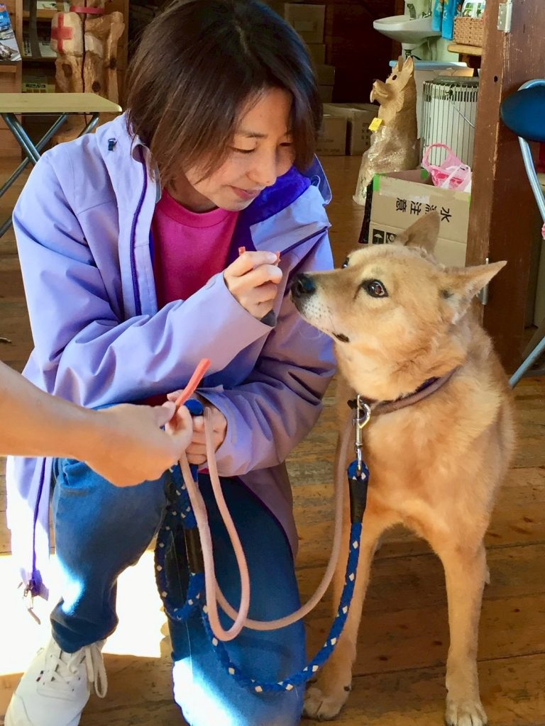 ac3fdd4c5e98ef1b1f101f767c3f84e1