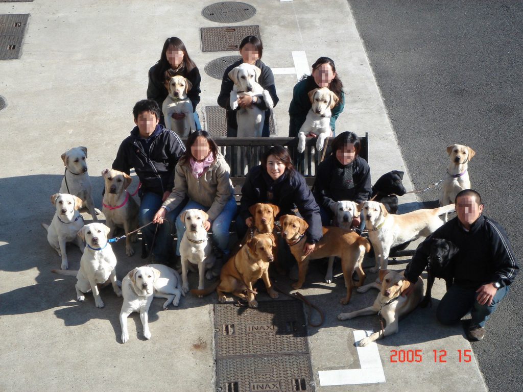 7ee4e264d0b7dfa14f3a4d51519a54af