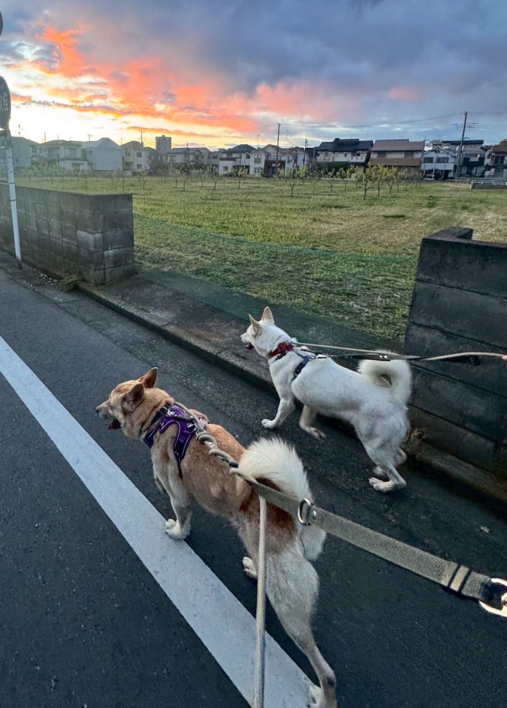 d064ad0b5a09e683d20e3b18bdfa3c6b