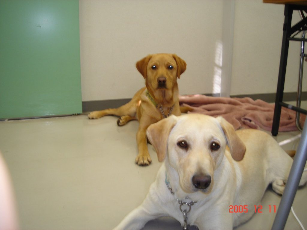 69985c1b6f4ddbaf31ec270d78443434