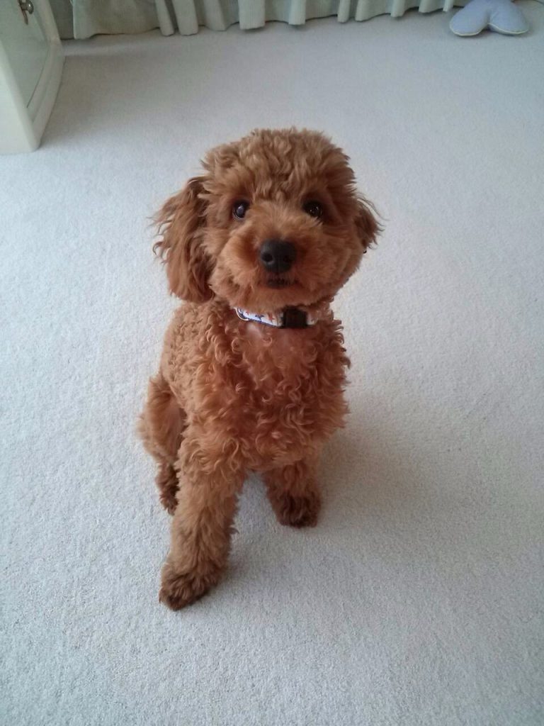 c16fcdad7f3625a6452217ee05ea8b8e