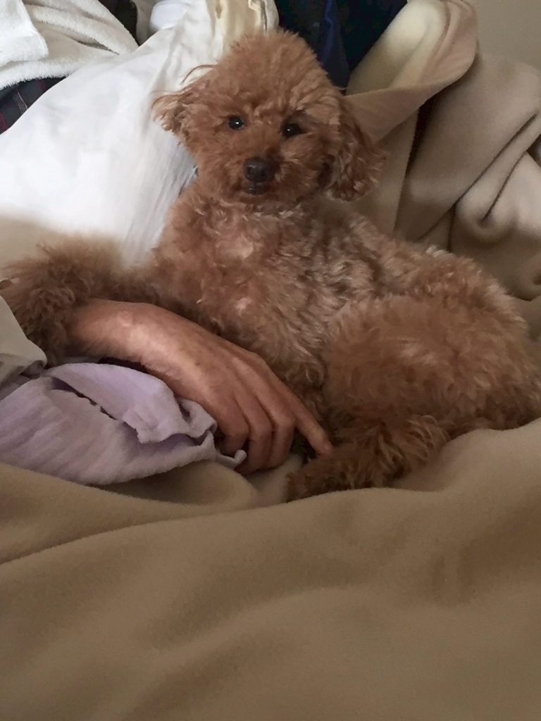 ac5d2df686b8d3a4d1b7ab70e5334786