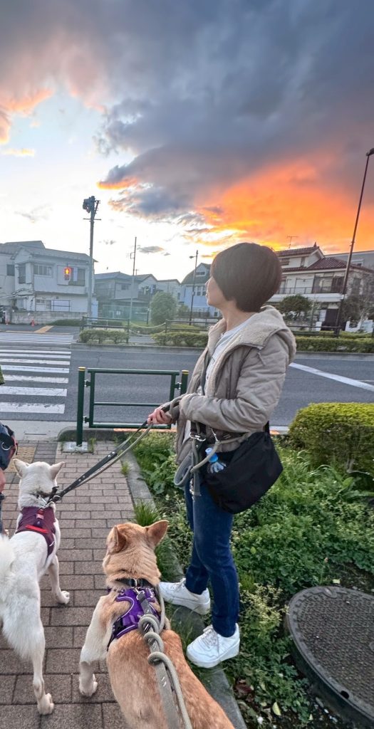 6711d046f12c484864a7cdb6a2819d8a