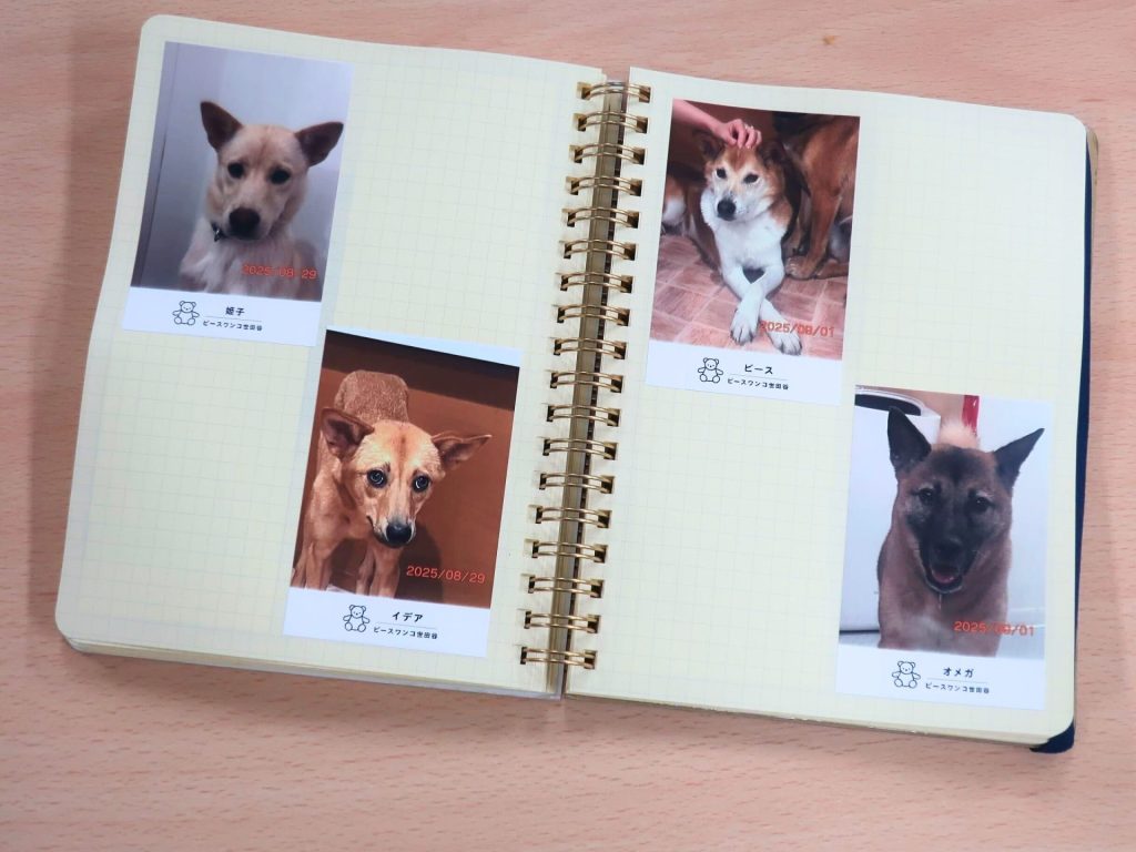 f9219b56f66382e21be758abad9dd760