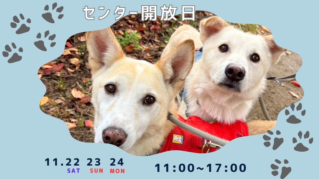 譲渡会・イベントのご案内 12 c041628b707154bcfa8bb93086434fd2