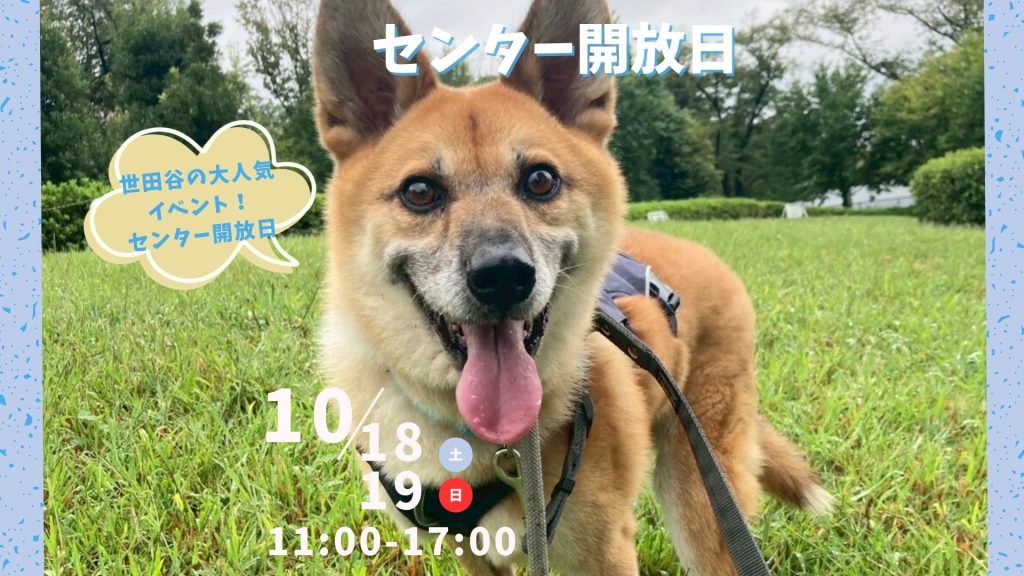 【ピースワンコのイベント】10/18(土)、19(日)センター開放日「保護犬に会いに行こう!」(世田谷譲渡センター) 6 3f96494c949413a45716113afd7a0446