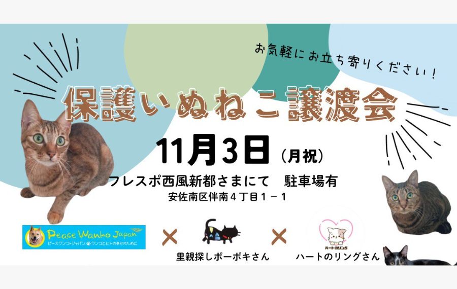 【ピースワンコの譲渡会】11/3(祝月)「保護いぬねこ譲渡会」開催(広島/安佐南区) 11 0e837ea8514214ca49afa42a4a0e9677
