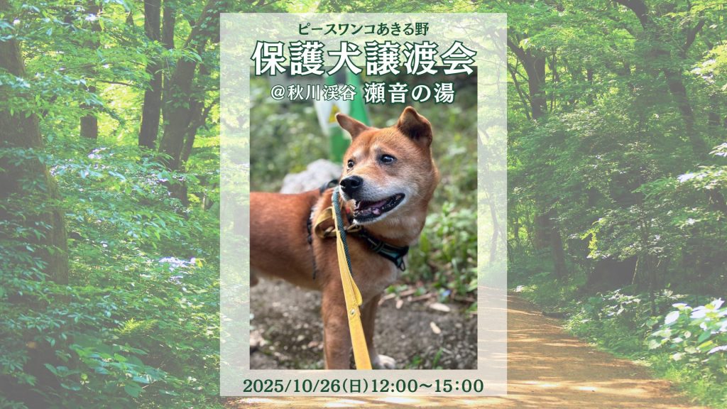 1b272fa2143638cabfeec9629025adab 1