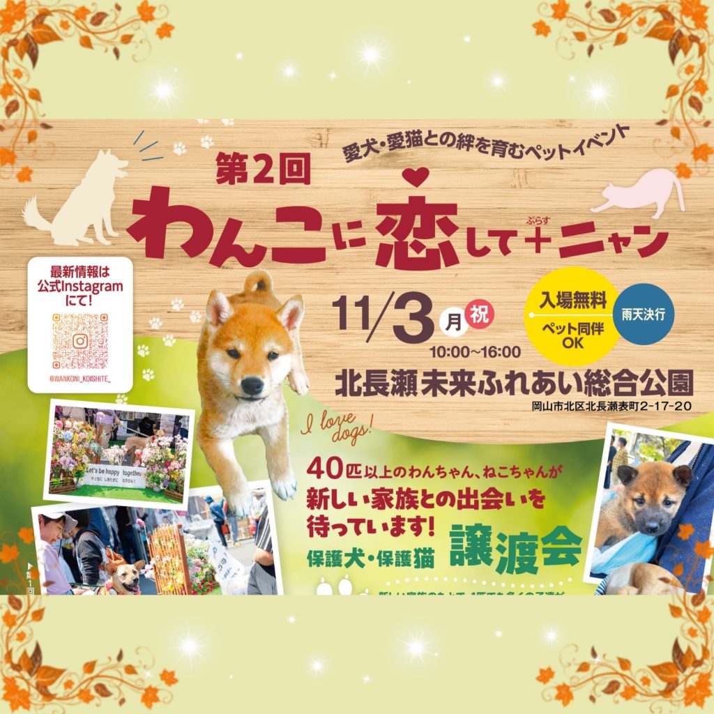 【ピースワンコの譲渡会】11/3(月祝)「わんこに恋して+ニャン」に参加(岡山/岡山市) 9 Picsart 25 10 18 23 54 25 488