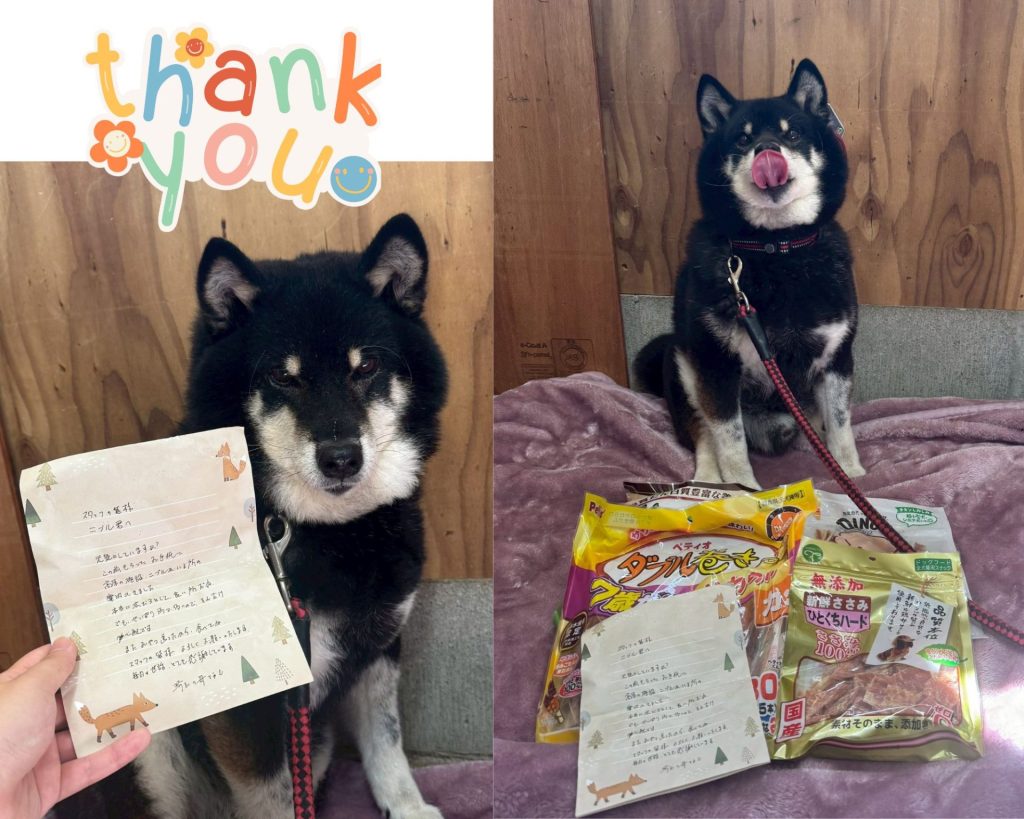 ワンだふるファミリーからの近況報告:2025年10日19日(日曜日) 12 0f86dfcc8dfbac582397a3ebfeb07366