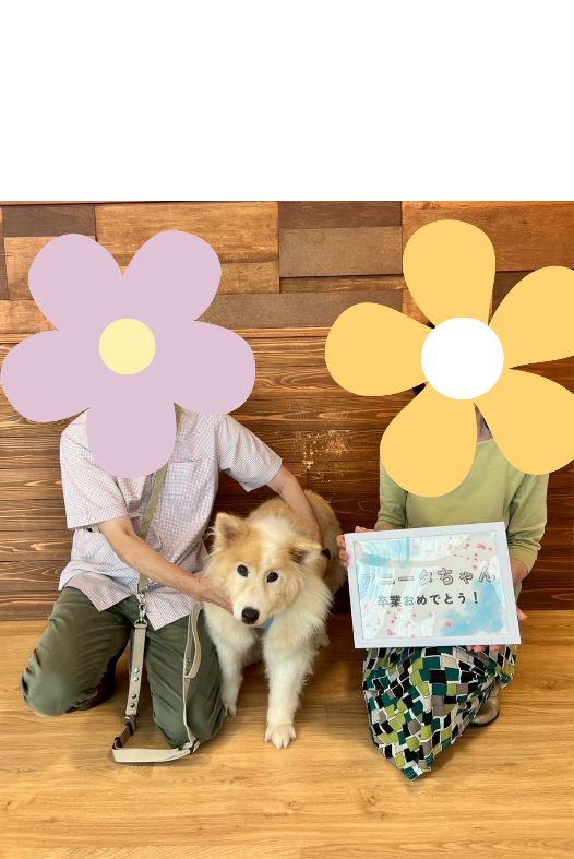 ワンだふるファミリーからの近況報告:2025年10日19日(日曜日) 22 image 1