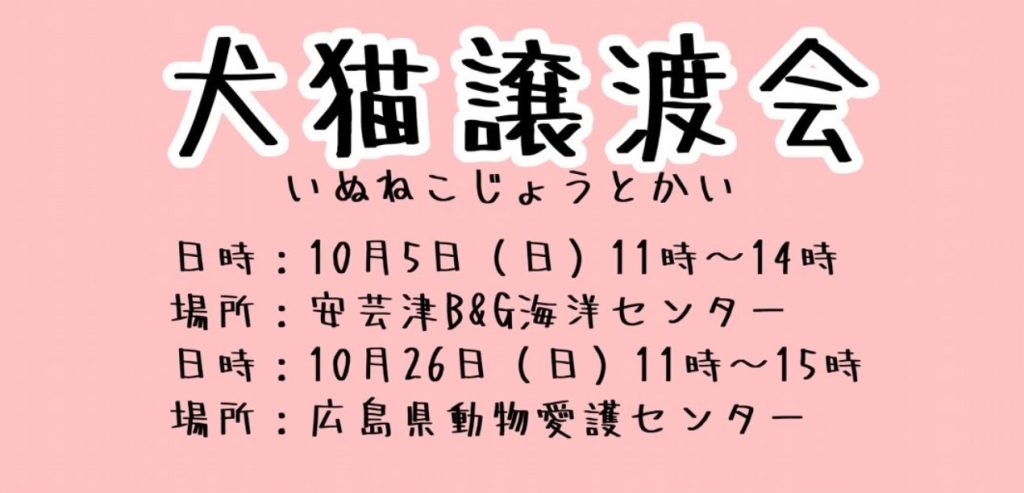 【ピースワンコの譲渡会】10/26(日)「犬猫譲渡会」に参加(広島/三原市) 6 66935dd1b6590b877e12c8228f25e780