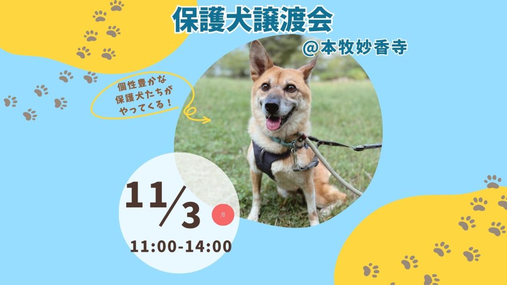 46cc901ada082a536a130288e9751f46