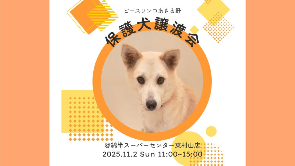 ab71a86ed64bb363b929767bd5c2f441