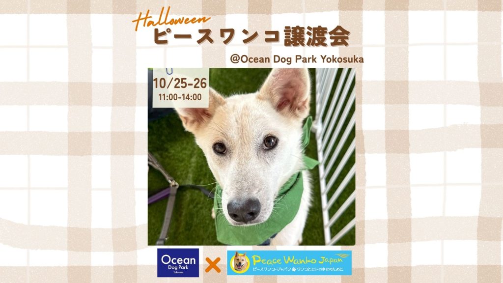 f2456ef44b4cefde2bf0eac8c778c67f