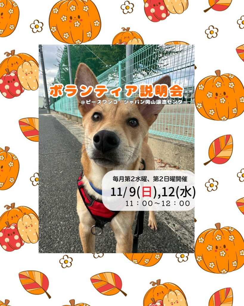【ピースワンコのイベント】11/9(日)、12(水)「ボランティア説明会」開催(岡山譲渡センター) 11 b89ea37719b52aea15bf5caa0ae84346