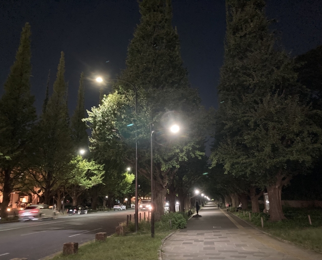 夜の犬の散歩は危険?安全に楽しむための対策とおすすめグッズを解説! 14 e21881c11b2d46aeaf4a4fdd56eed5fc