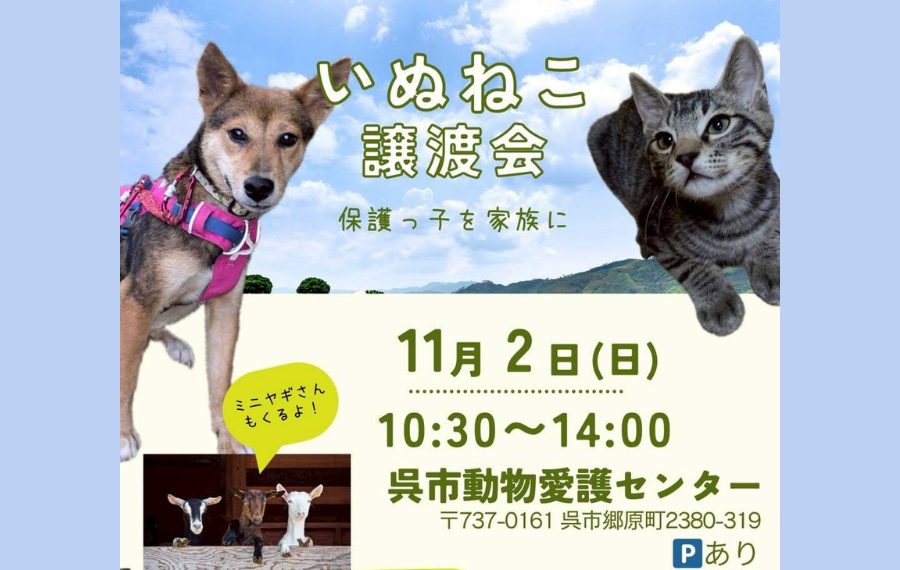【ピースワンコの譲渡会】11/2(日)「いぬねこ譲渡会」に参加(広島/呉市) 1 d5cd4e1ae10b9db93692dca1a4905520