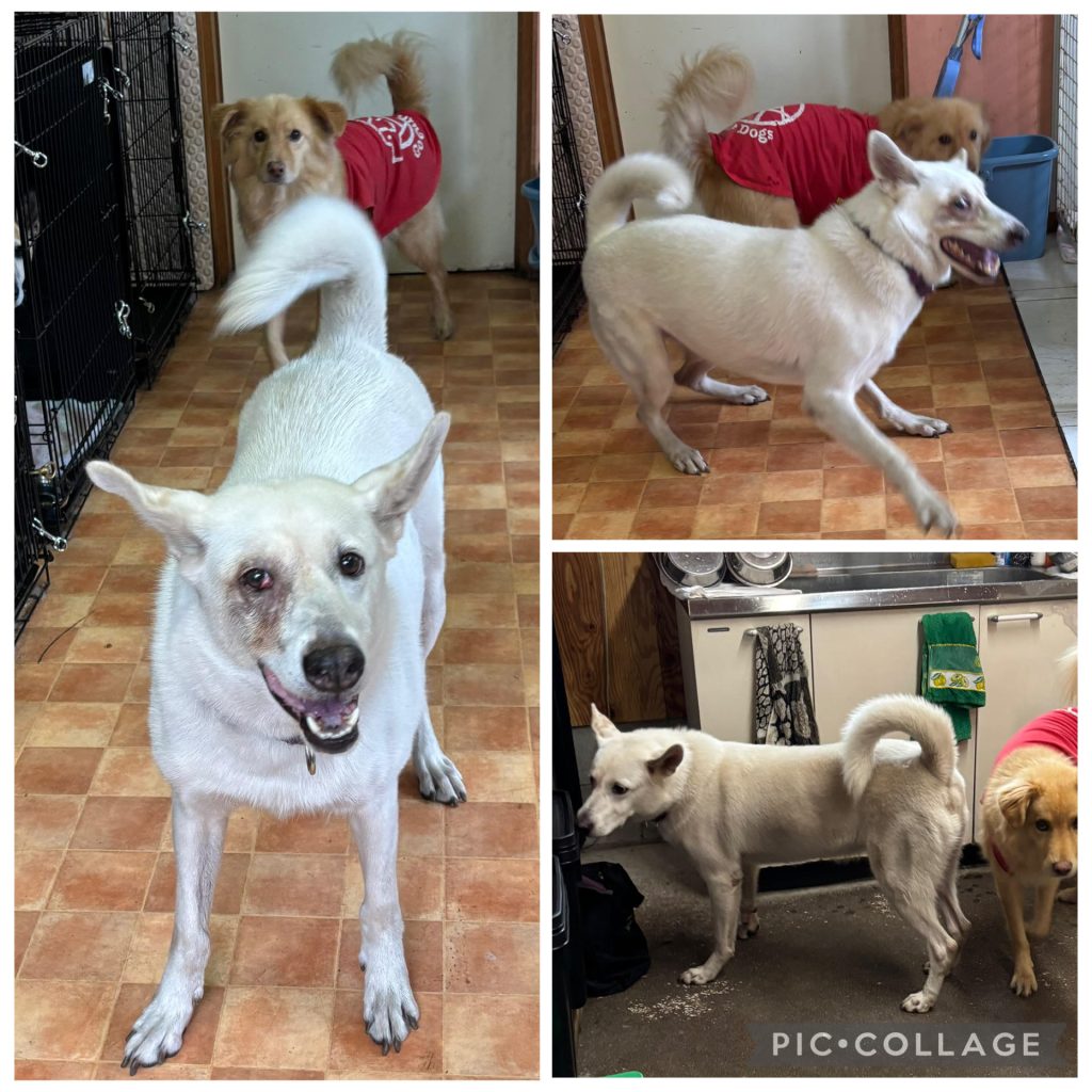 7fce745298c9540c9c6c434f3c9df7ae