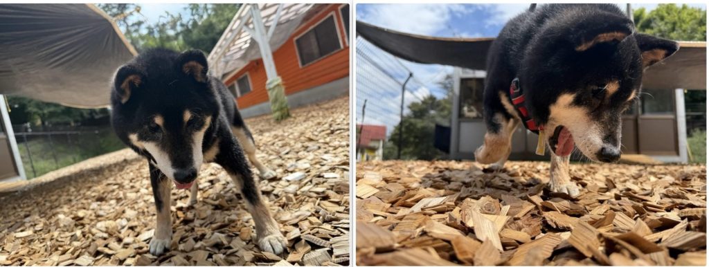 d7232931373fbefe85264959388eb1e7