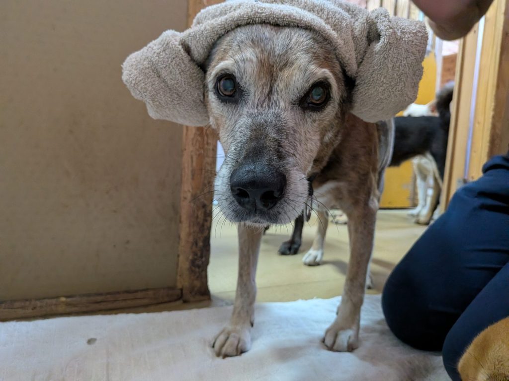 563e9484c4cc452b3980ce2c78cef36e