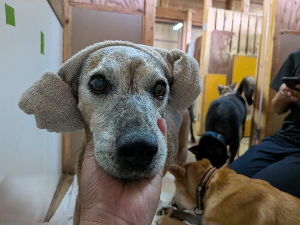 7d9175e6ae5ccf4b1610092911444e47