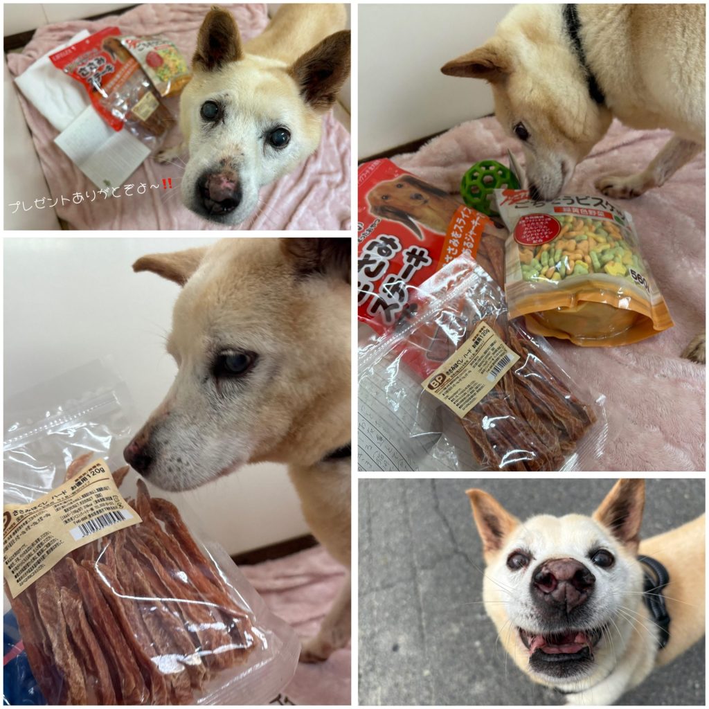 4f0a623bdd41b7fa906e06d3dec9ce58