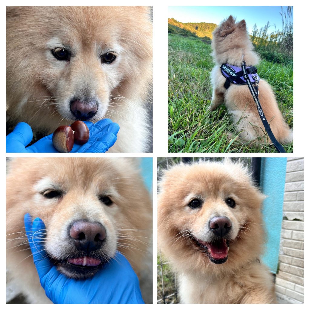 f828ac76cf1fc05c993080059f11d49f