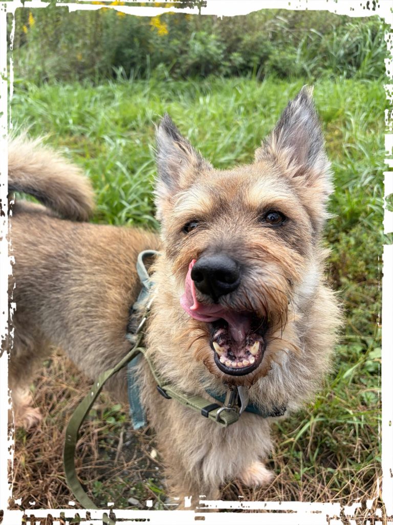 bca420091907964a58a8b516519c6235