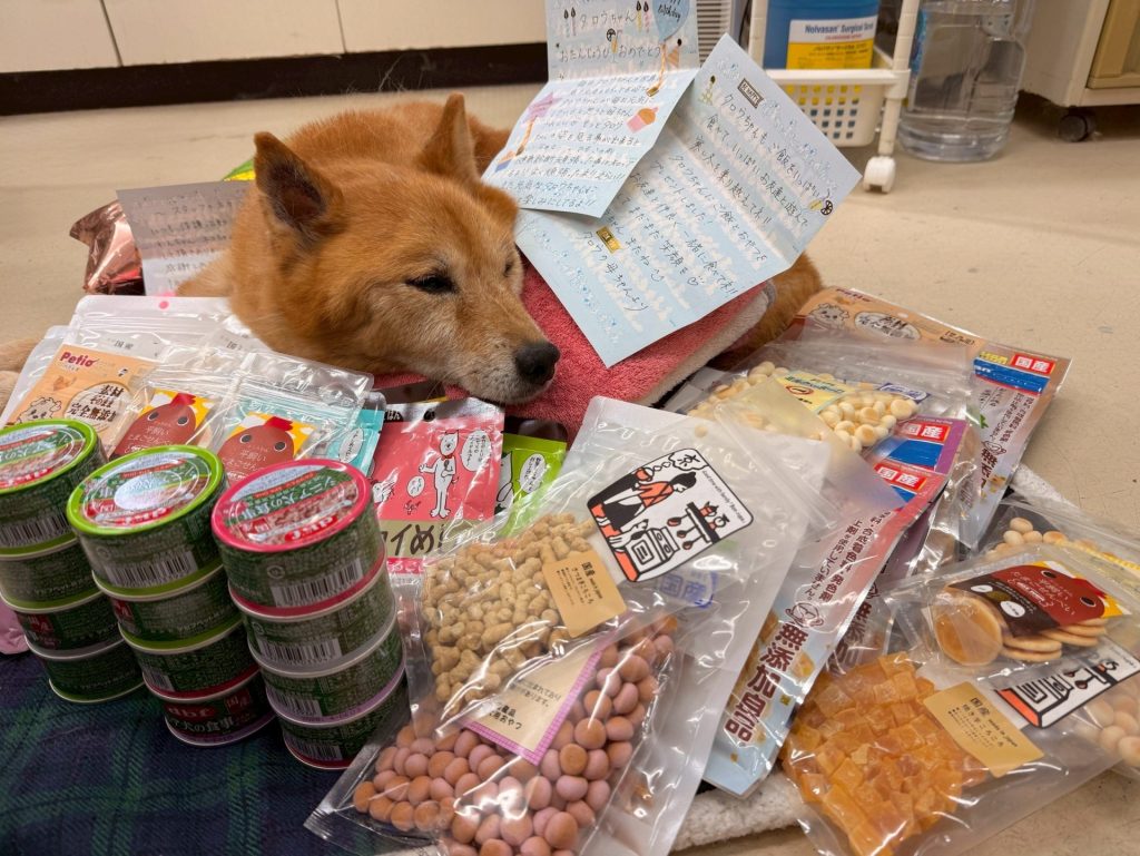 9d66c445b4fa769e751a876a7295fe60