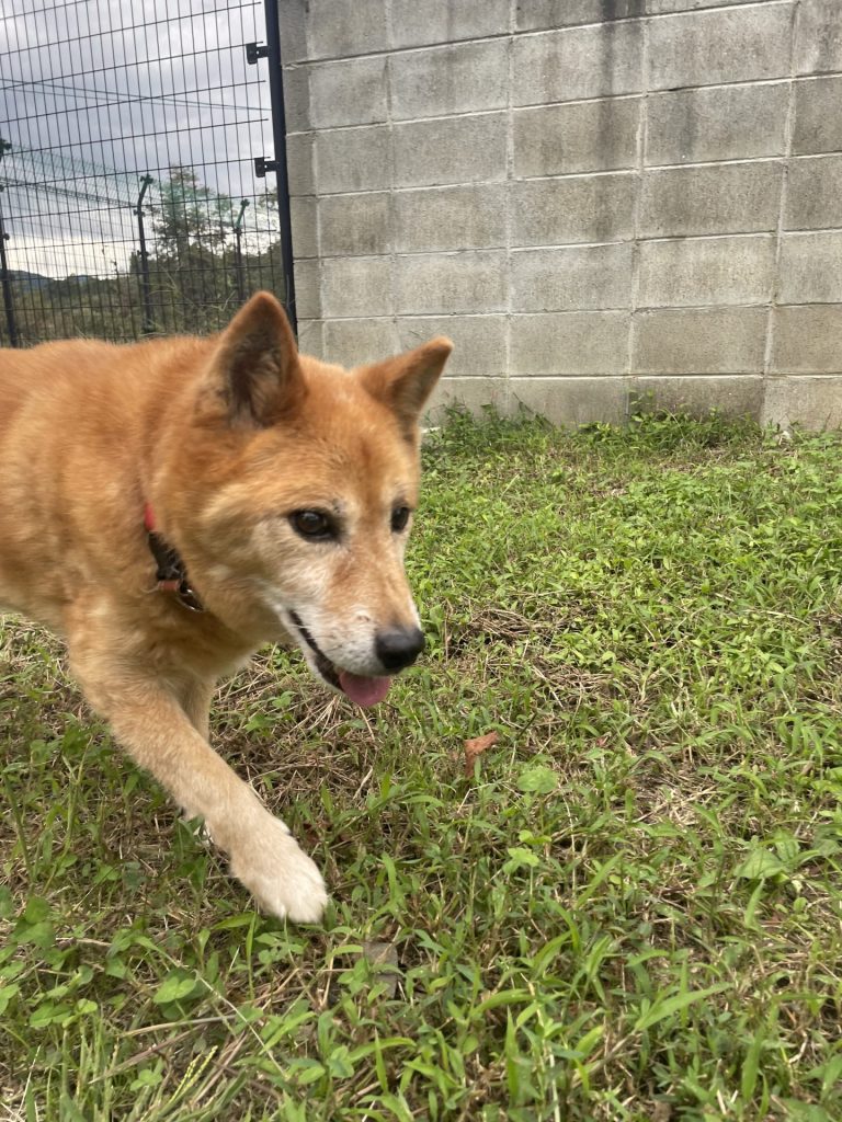 a4873506caba8ac3babd7fcfb95ffa50