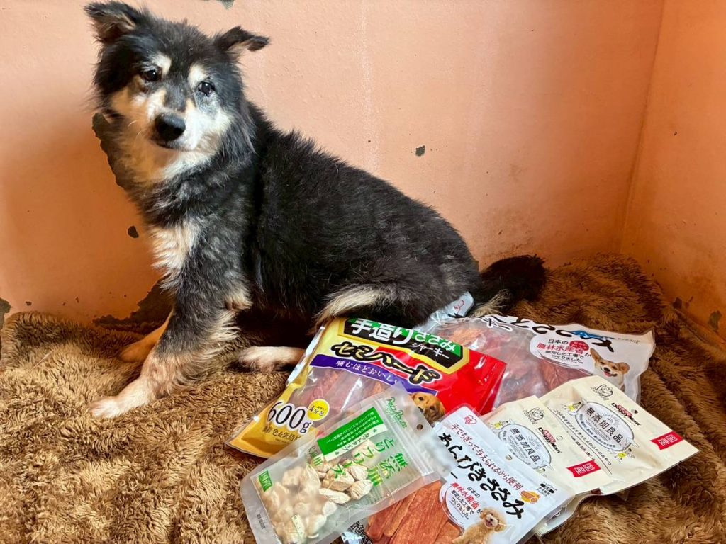 4e8b3dac37e81e4605dd53d1c7229db3