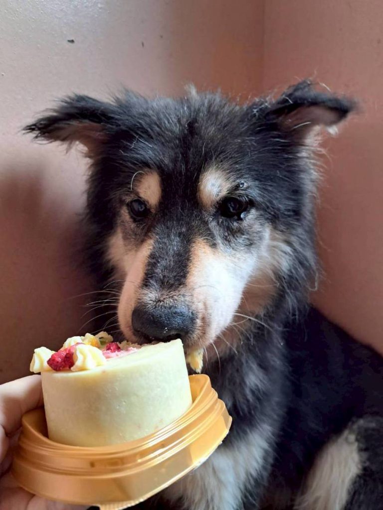 5aa9d48af2dd807dfb86caca4c1efbc9