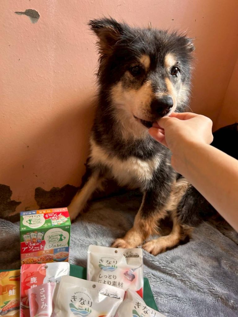 a3a25725815783b7f26cb17e926e41a4