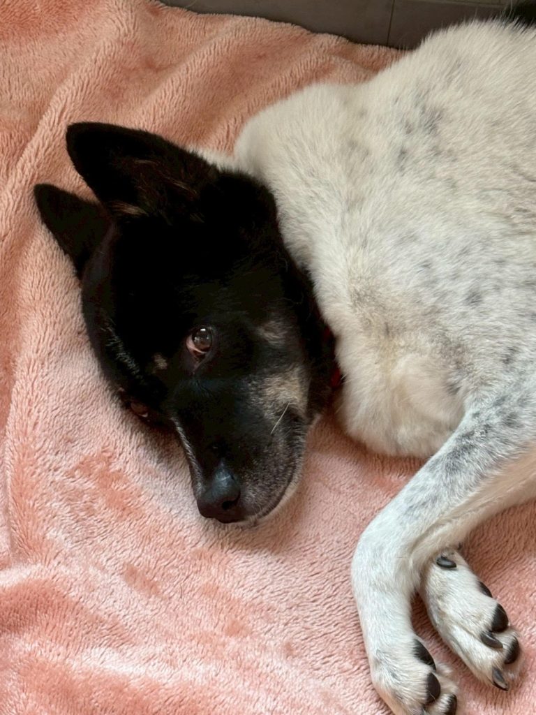 5bed7e27c36fcf6e7b8f9f153663b57d