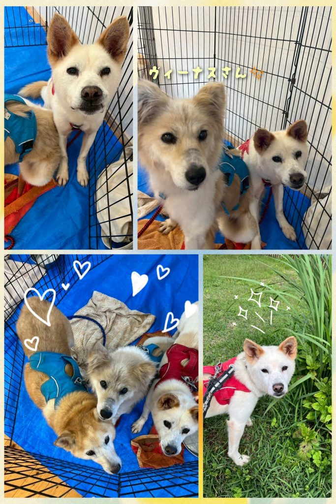 f830151364795ad6a24d1fb15b06f074