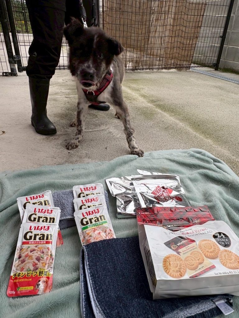 ee12c07e9992fe621891a61ae2a3c0d7