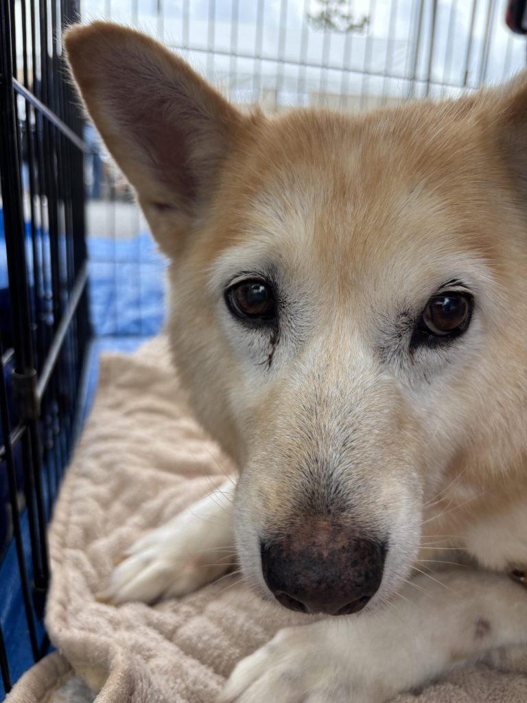 eb7da564b15c8ab8d1081f5d8018f950