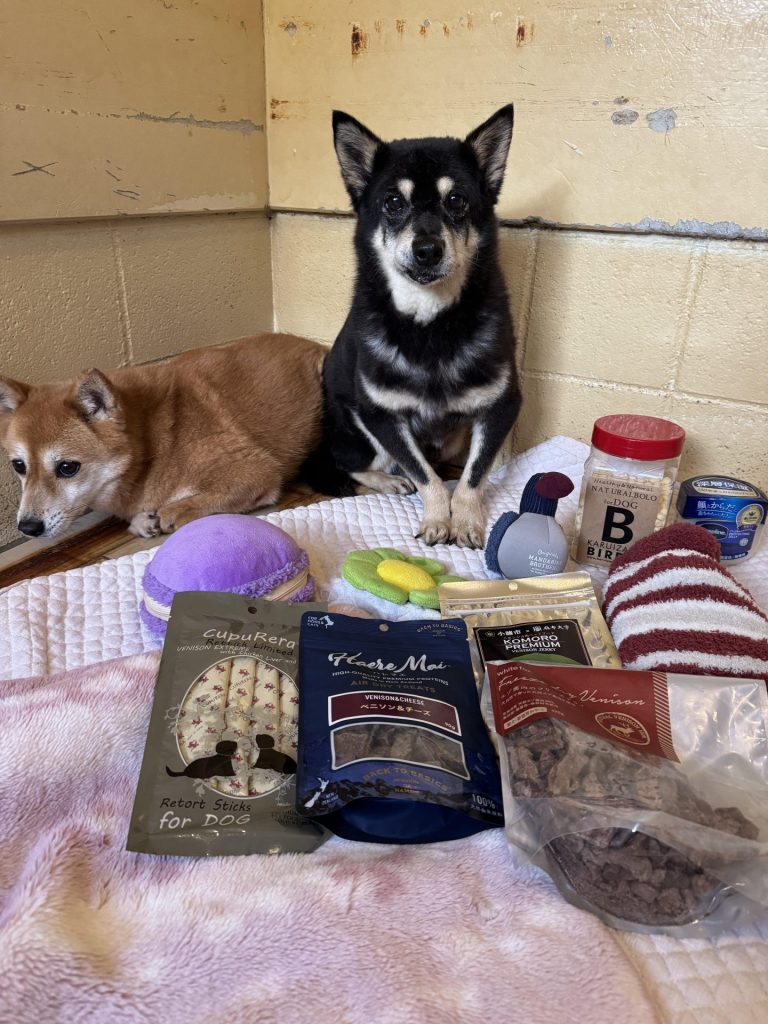 890c56827e3dbfcfe0559cfed07e2db8