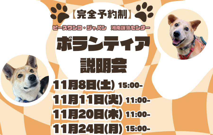 譲渡会・イベントのご案内 2 13298a5e3fa5adc3d64a7aaf89416281