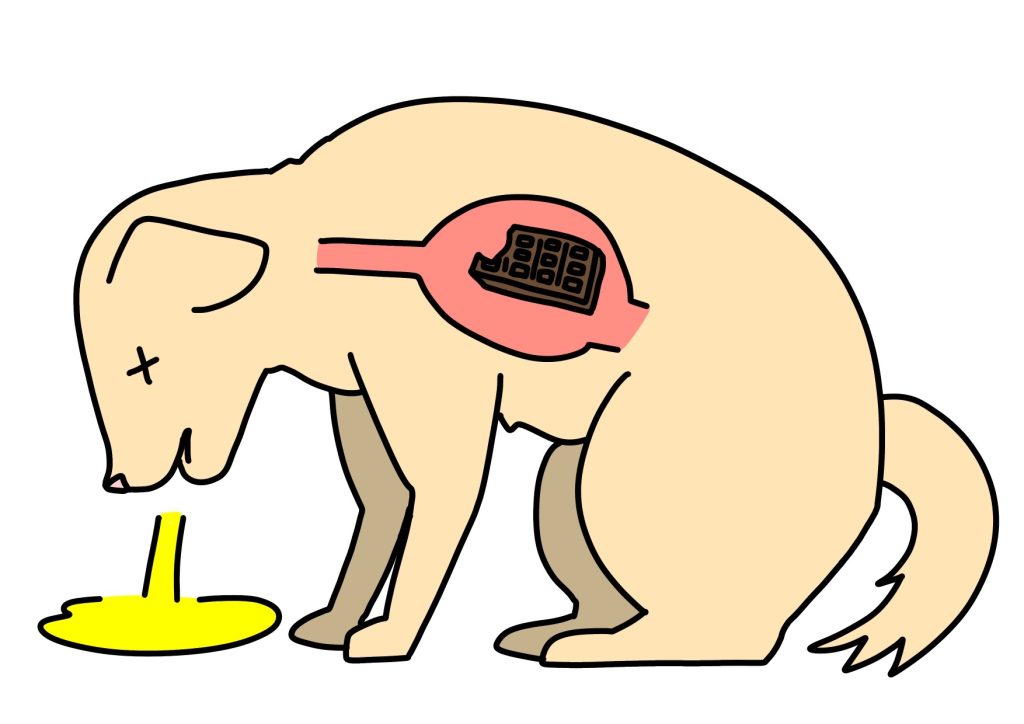 3a164b45f825a2e54a6d98733b2e171f