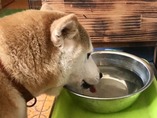 09070470ba0659e3df7d5e779597d982