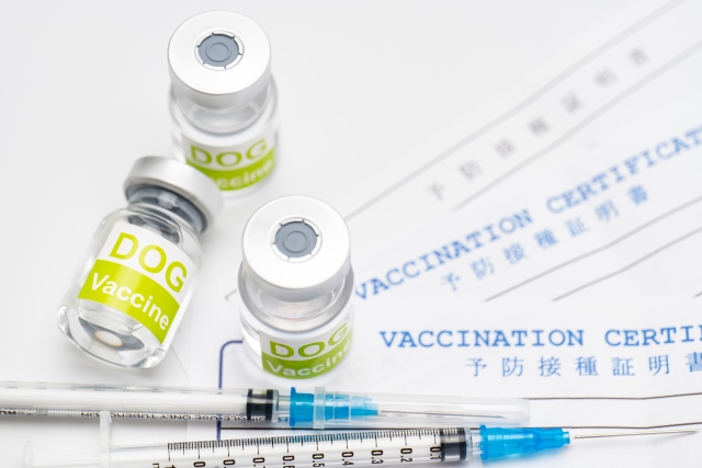 3a9a6979fa0579daa5585f1554aa67d5