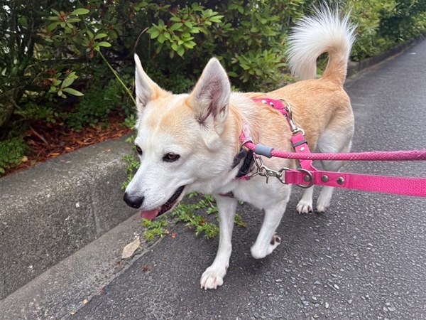 2c306a631f4abfb7e422738a2019a471