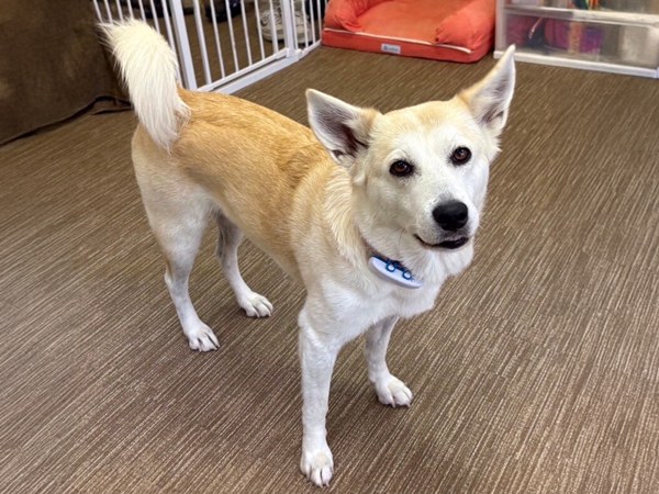 9514f74ceb9871976270ac0a0f73a75a