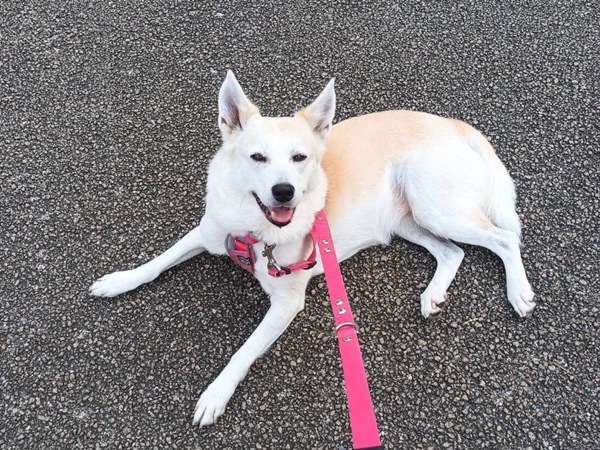 93b9f8e8a1167c8a3cd87cc29fc1ec31